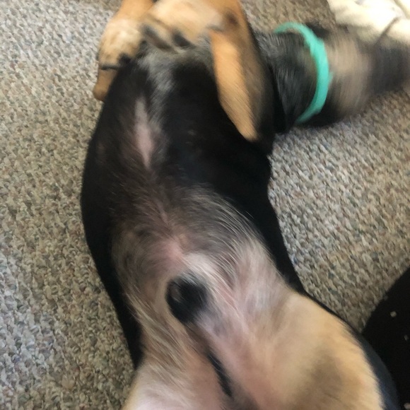 Meet your Posher, Jessica - Picture 6 of 6